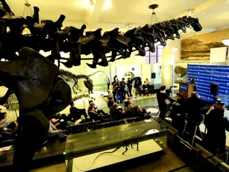 Jurassic Park - live im Museum