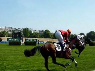 Course de haie, hippodrome d'Auteuil - 17 Avril 2011