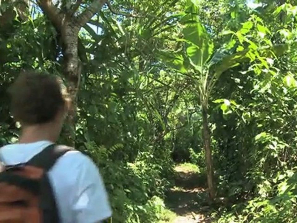 "Le réel Merveilleux" Teaser