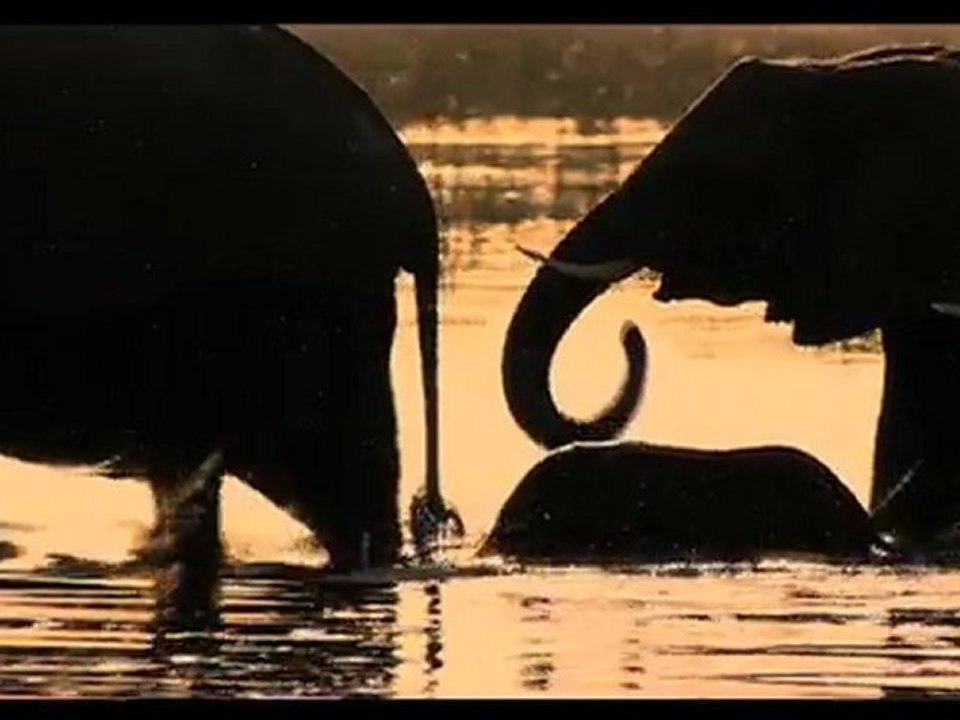Afrique Extreme
