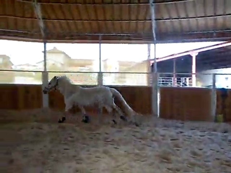 Mimi petit vertical main gauche