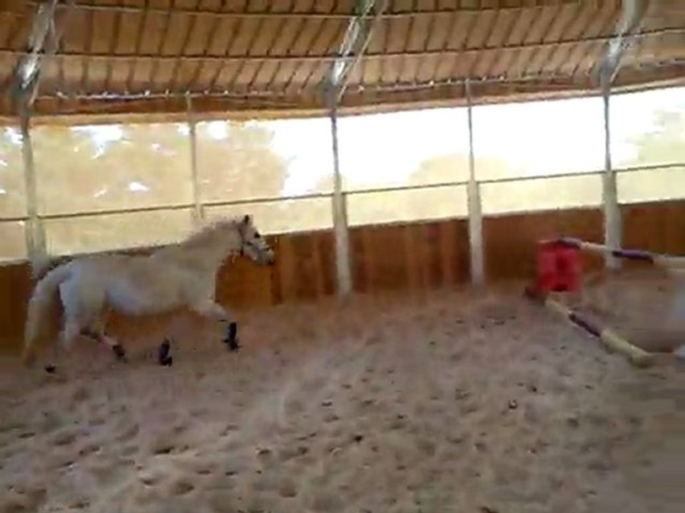 Mimi petit vertical main droite