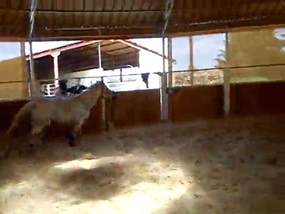 Mimi vertical main droite