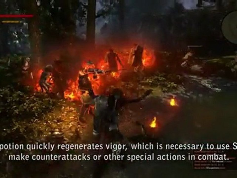 The Witcher 2 : Carnet des développeurs n°5