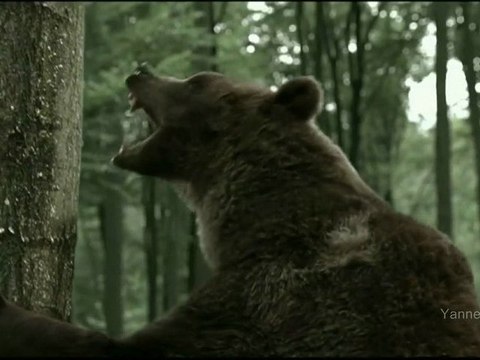 Publicité HD - Bouygues Telecom (avec les animaux) 2010