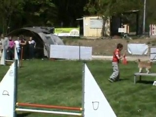 Flica régional 2011 Agility