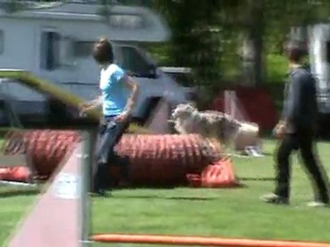 Chanel régional 2011 Agility 3è degré