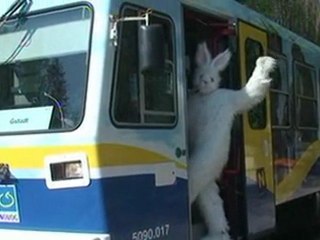 Ostersonntag - Hase fährt Bahn