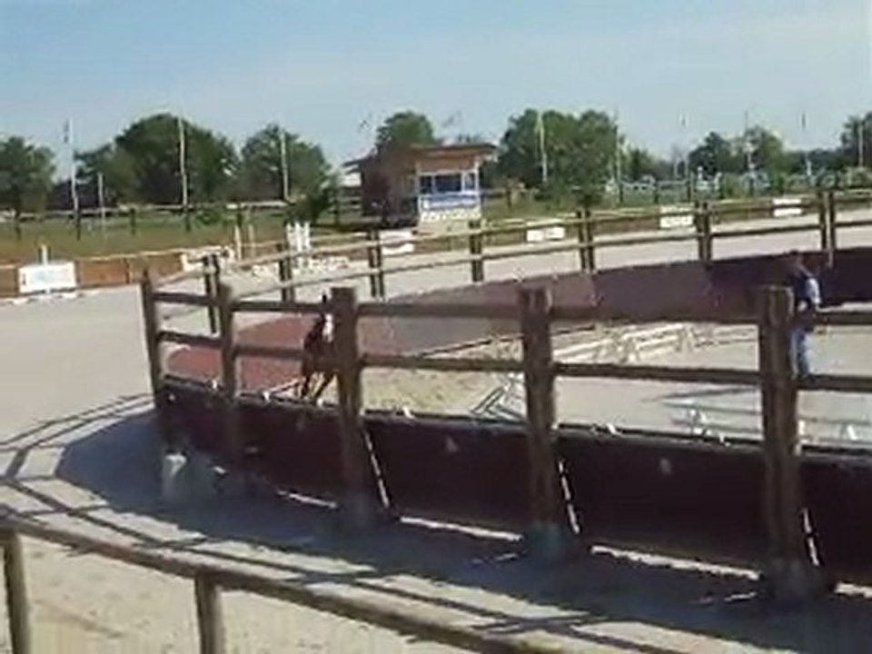 Saut liberté des poulains 3 ans le 21 avril 2011