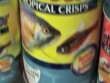 Keeping African Cichlid Fish | Jims Exotic Fish