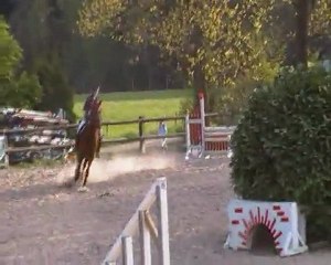 Impeck du Parnasse & moi - Fagne St Remacle