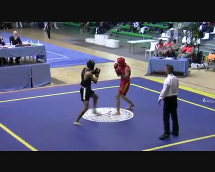 CDF 2011 toulouse 1er tour Jean-Luc Hamon