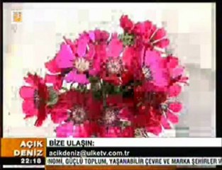 HASAN BURKAY HÜDAVERDİ