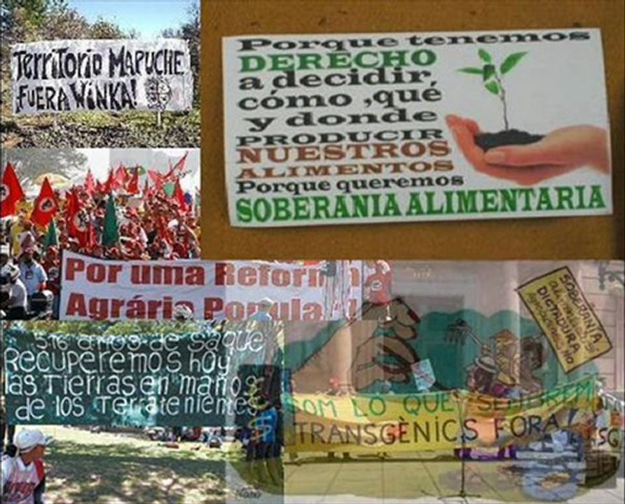 Brote de soja V2