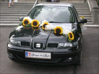 Galeria zdjęć limuzyn do wynajęcia