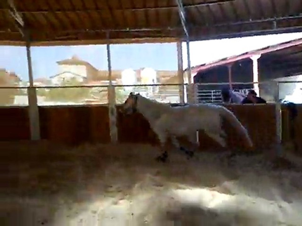 Mimi vertical main gauche