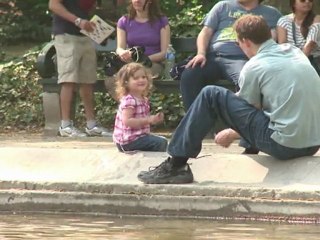 La Belgique passe le cap d'un an sans gouvernement