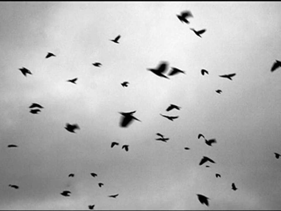 Dünya - Yıldız Usmonova - Hüsnü Şenlendirici