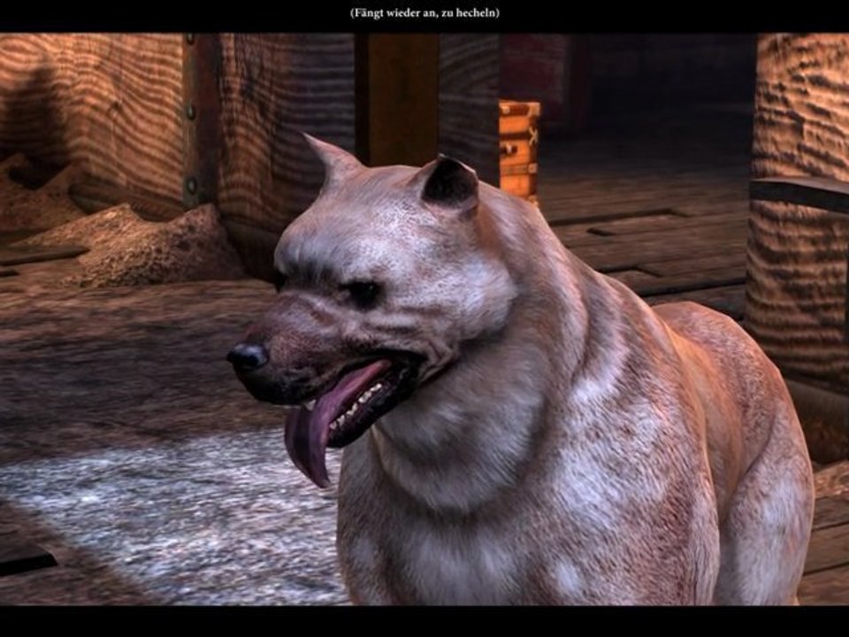 Let's Play Dragon Age 2 #074 [Deutsch] [HD] - Letzte Vorbereitungen