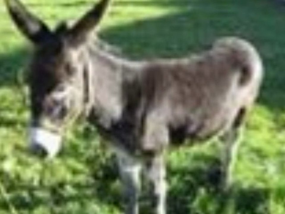 Méssage au ministre de l´education et de l´enseignememt algérien Ben Bouzide