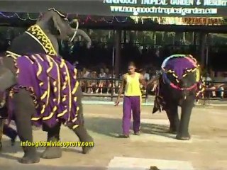 ELEPHANTS GOT TALENT & PAINT TOO.....PATTAYA, THAILAND