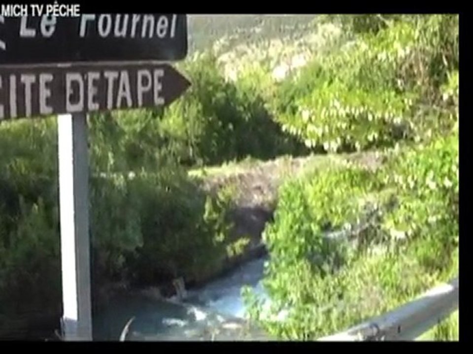 Belles truites dans le torrent du Fournel