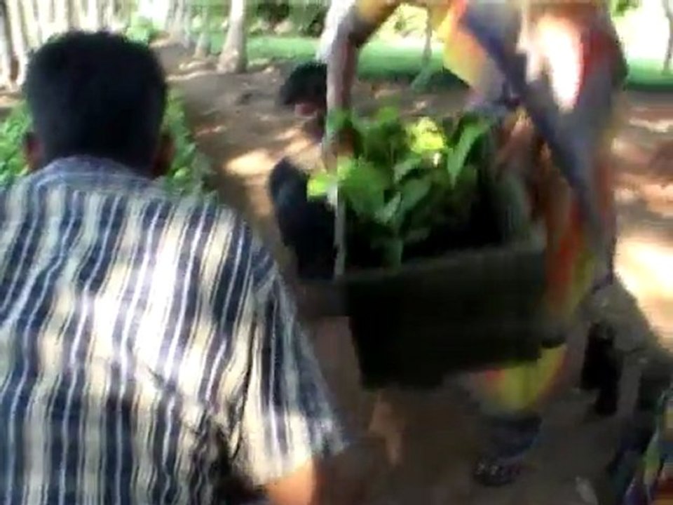 Project Greenhands (2010) Sadhguru