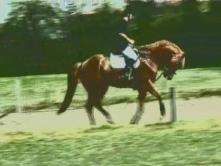 Dérives du CSO moderne...