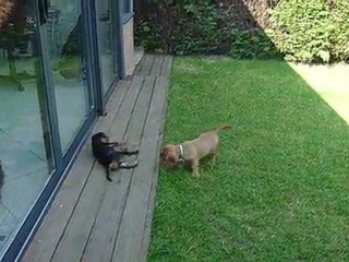 vive les vacances au soleil !