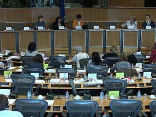 Intervention EMC sur le rôle des femmes dans les directions de grandes entreprises_ComFEMM_20042011