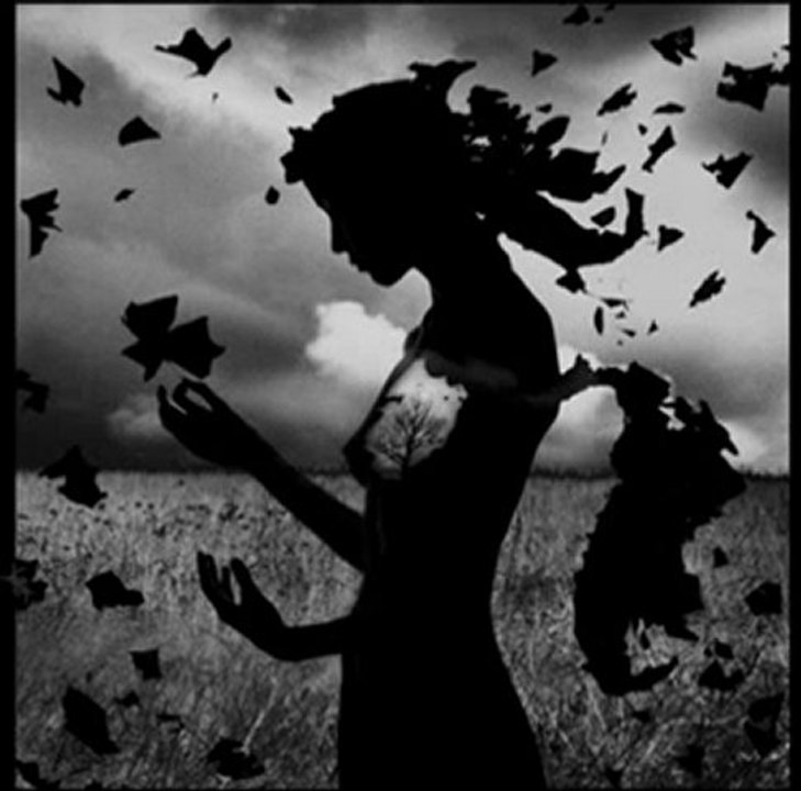 Halil Sezai Paracıkoğlu - Paramparça