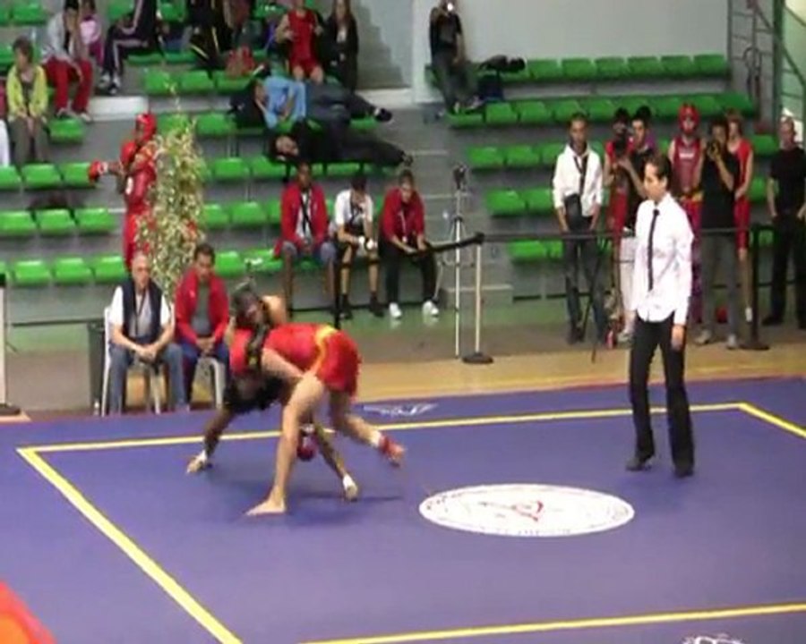 CDF 2011 toulouse finale Jean-Luc Hamon Vs San Song