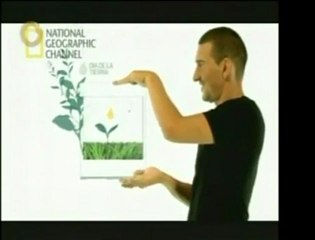 Para conmemorar el Día de la Tierra, aprenda a usar de mejor