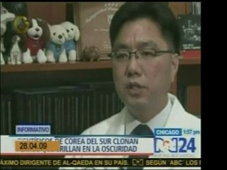 En Corea del Sur clonaron perros Beagle que en la oscuridad
