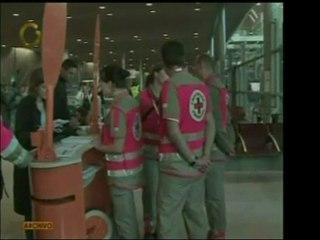 La "gripe porcina" ahora se llamará "AH1N1". Vea lo más reci