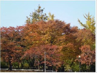 Le Village Français dans Séoul(서래마을)
