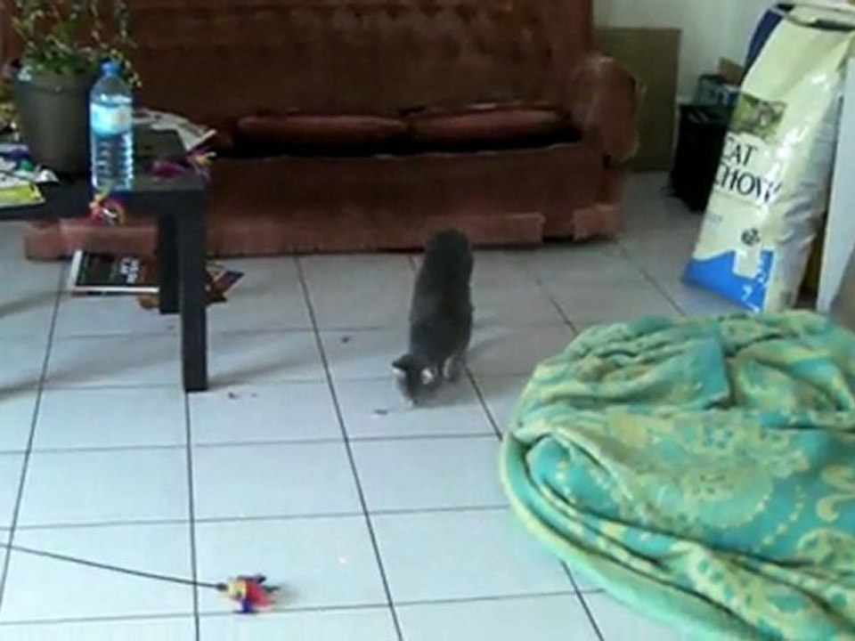 Sae et un laser