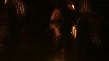 Fireworks5