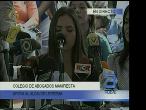 Abogados del Colegio Nacional de Abogados y de distintas ONG