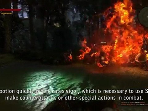 [HD] The Witcher 2: Assassins of Kings - Dev Diary 5