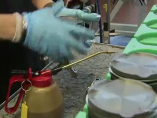 Lamborghini Engines