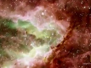 Searching for Alien Life Forms