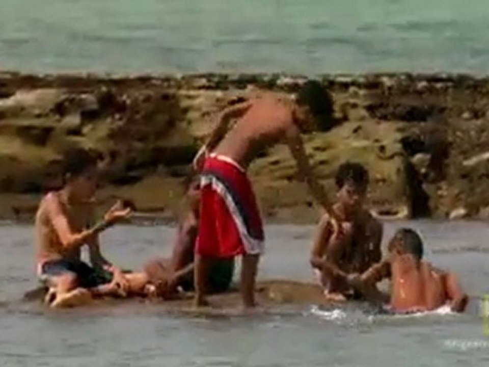 Outbreak of Shark Attacks at Popular Brazilian Beach