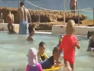 Bondi Beach's Sting-Rays