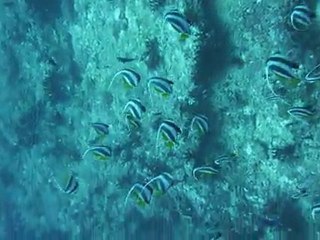 Les Maldives 2011 sur le Keyif 579