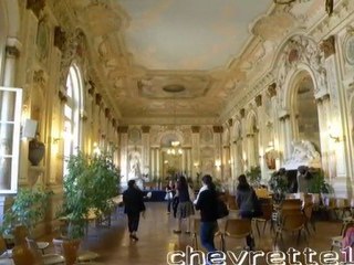 hÖTEL DE VILLE AVIGNON