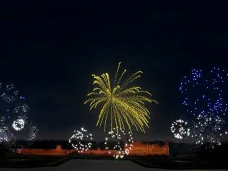 Crazy Cat Firework