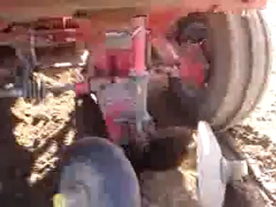 Plantation de pomme de terre