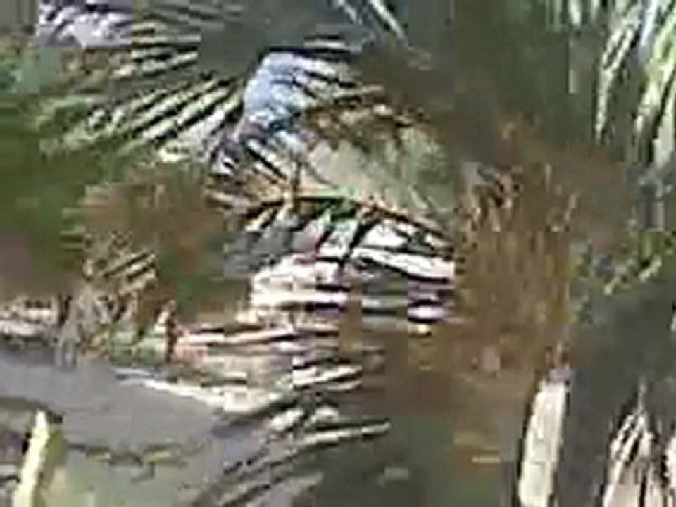 Rv: Policia de Anzoategui