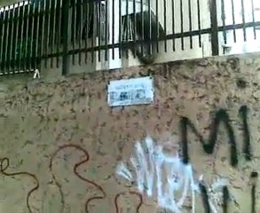 Bote de agua en Montalbán desde hace 4 días